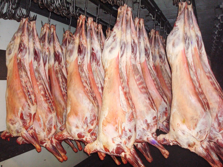 Buy Fresh Beef Meat in Pakistan - Suppliers, Wholesalers.jpg