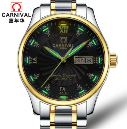 Carnival 501G T25 Self-luminous Tritium - Men Gold Watch Automatic.png