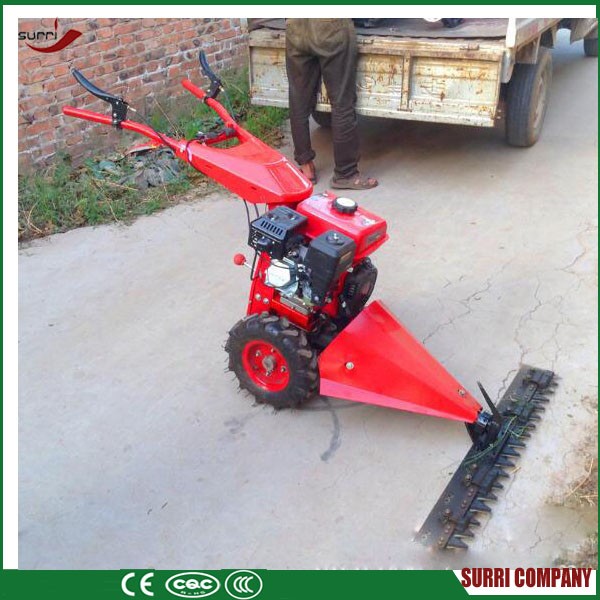 small gasoline Lawn Mower for gardens