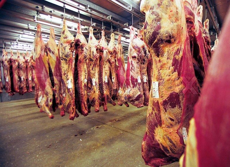 Beef Meat Wholesale in Pakistan - Supplier & Wholesalers.jpg