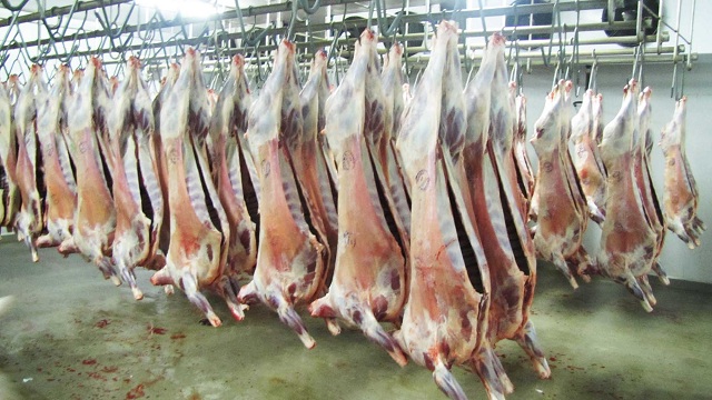 Fresh Mutton Meat for Sale - Suppliers, Wholesalers in Pakistan.jpg