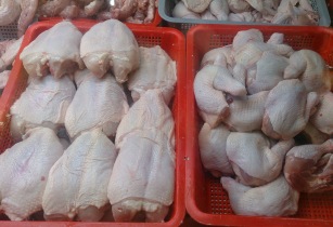Wholesale Frozen Chicken Meat & Chicken Cuts in Pakistan.jpg