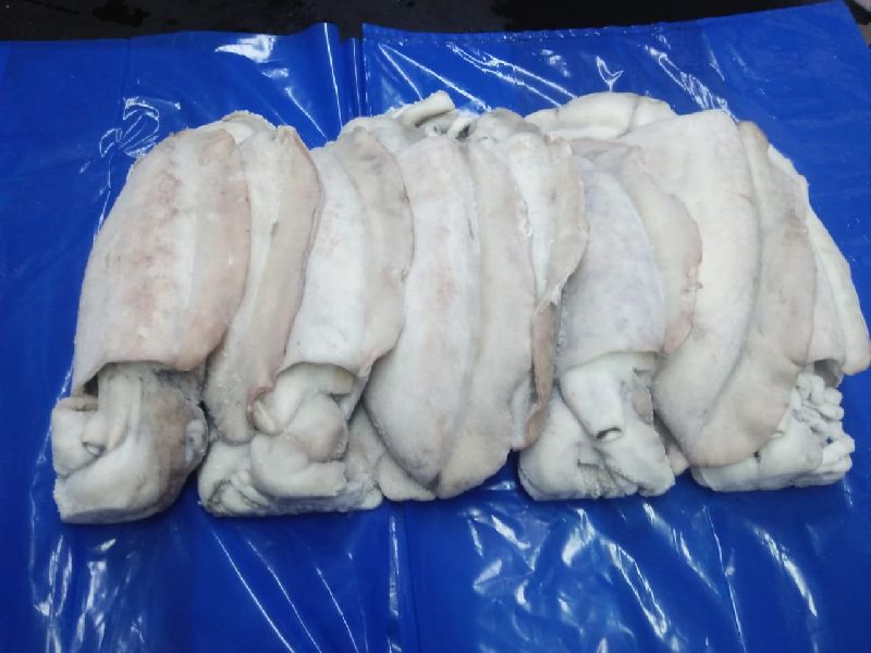 Cuttlefish Manufacturers in Pakistan, Cuttlefish Suppliers & Exporters.jpeg