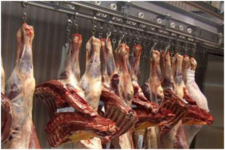 Fresh Mutton Meat Suppliers, Manufacturers, Wholesalers in Pakistan.png