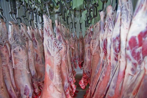 Fresh Mutton Meat for Sale - Suppliers, Wholesalers in Pakistan.jpg