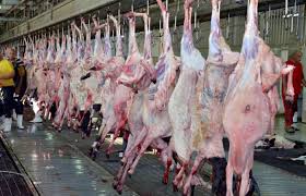 Halal Goat Meat in Pakistan - Manufacturers, Suppliers, Wholesalers.jpg