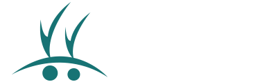 agricorp-logo.png