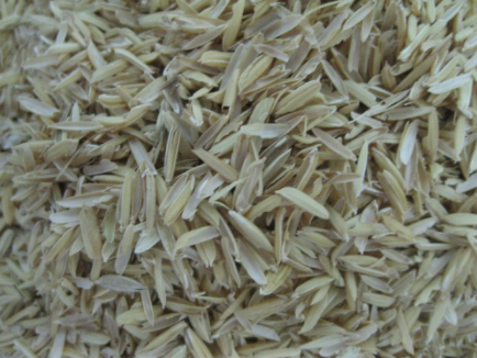 Buy Raw Rice Husk For Sale From Vietnam Available Online at Achasoda.png