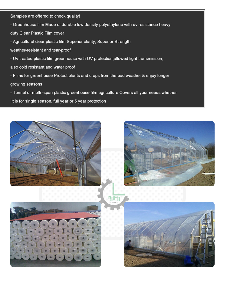 60/80/100/125 micron plastic roll film use for greenhouse building