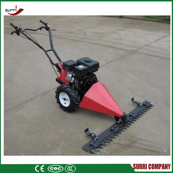 small gasoline Lawn Mower for gardens