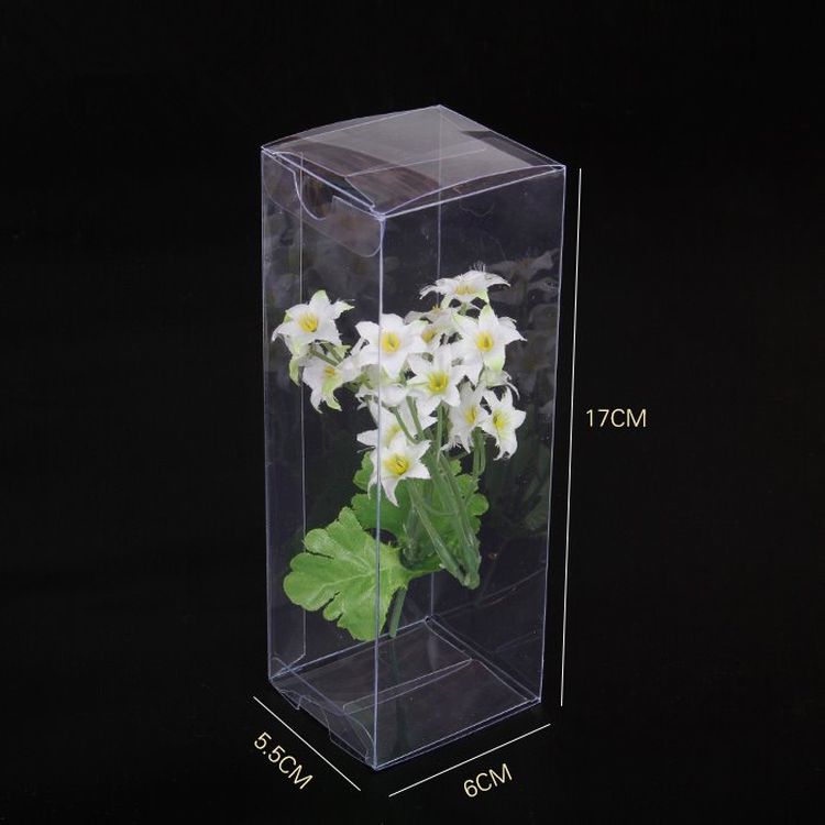 Good quality Wholesale Best clear plastic packaging box
