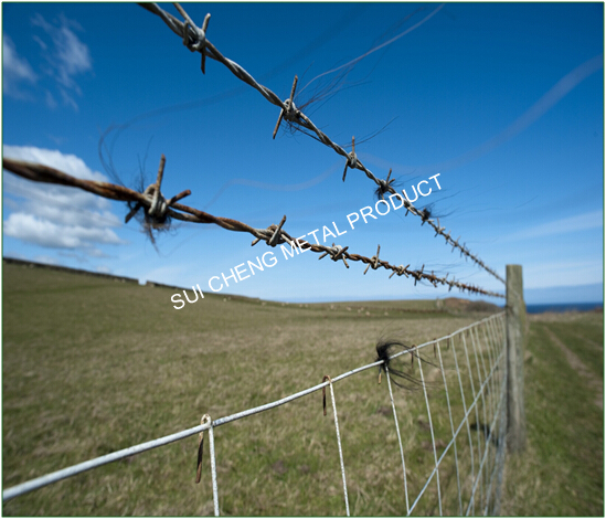 Guangzhou factory raw material barbed wire/single strand barbed wire/cheap barbed wire fence (free sample)