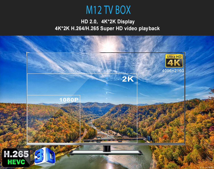 OEM M12 RK3328 Quad Core 2.4G 5.8G Dual Wifi 4G RAM 32G ROM Smart Android 7.1 Ott Smart Tv Box