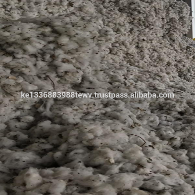 Best quality white Cotton  in Tanzania