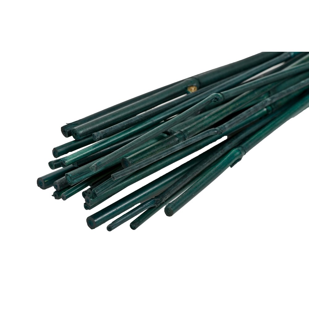 Factory wholesale custom plant growth support bamboo wood green natural environmental protection bamboo tree stakes
