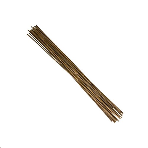 Wholesale natural plant crop support tree bamboo garden stakes bamboo stakes