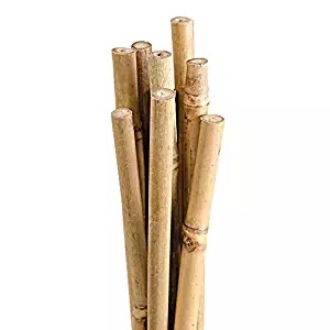 Good quality 3' x 6 - 8mm size natural bamboo poles stakes bamboo stakes