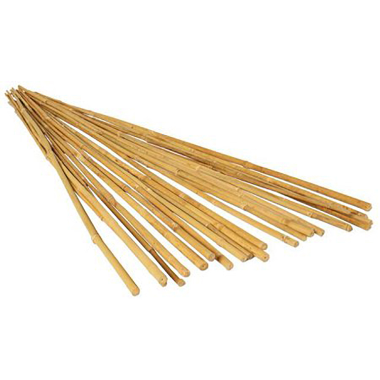 Wholesale environmentally friendly plant crops vines support auxiliary growth bamboo plant stakes bamboo stakes