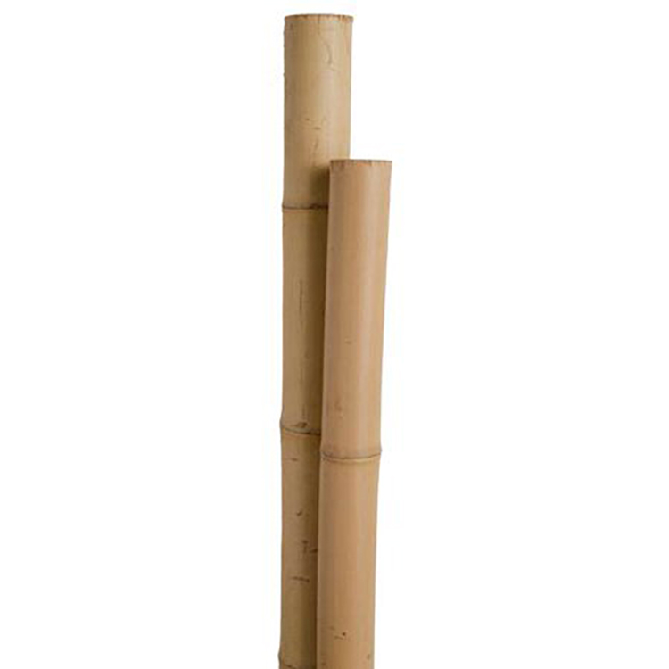 Wholesale Eco-friendly 8' x 18-20 MM plant crops vines support auxiliary growth bamboo plant stakes bamboo stakes