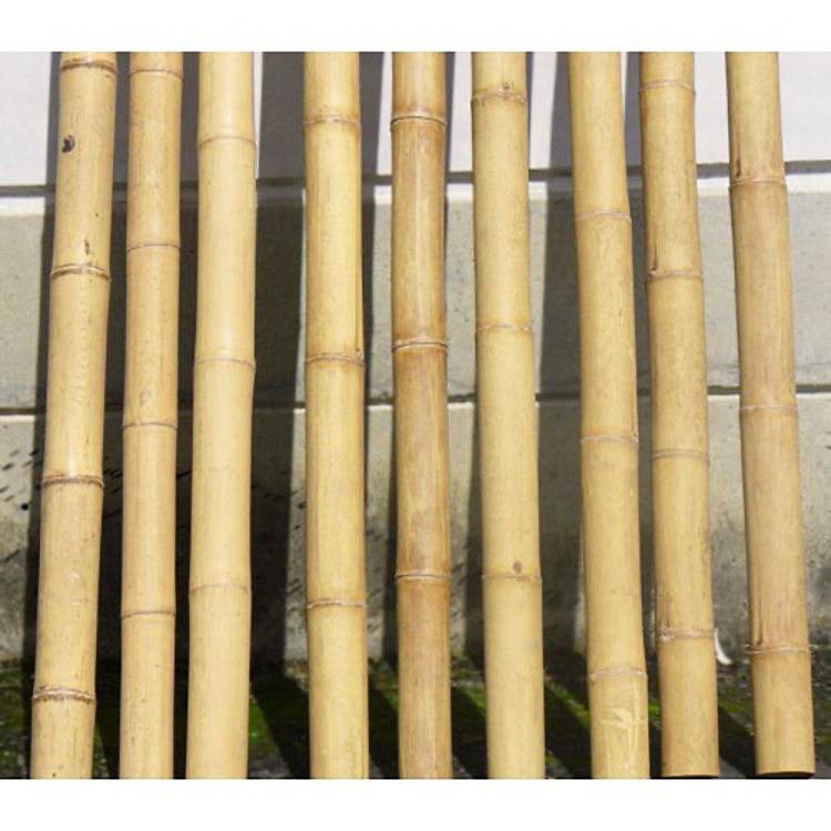Factory wholesale Eco-friendly 9' x 18-20 MM plant crops vines support bamboo plant stakes bamboo stakes