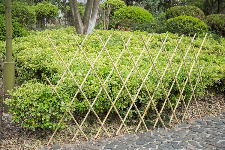 Factory direct diamond natural garden grass plant garden bamboo fence panels bamboo fence