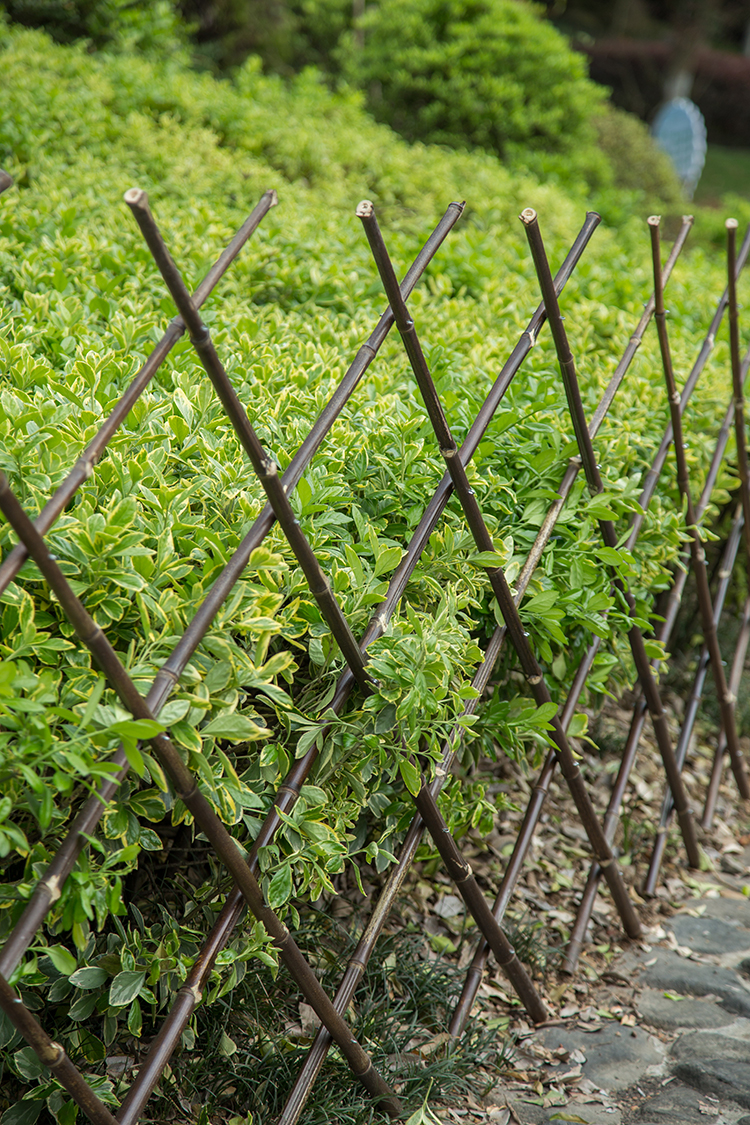 Factory direct pure environmentally friendly non-toxic diamond adjustable garden grass bamboo fence black bamboo cane fence