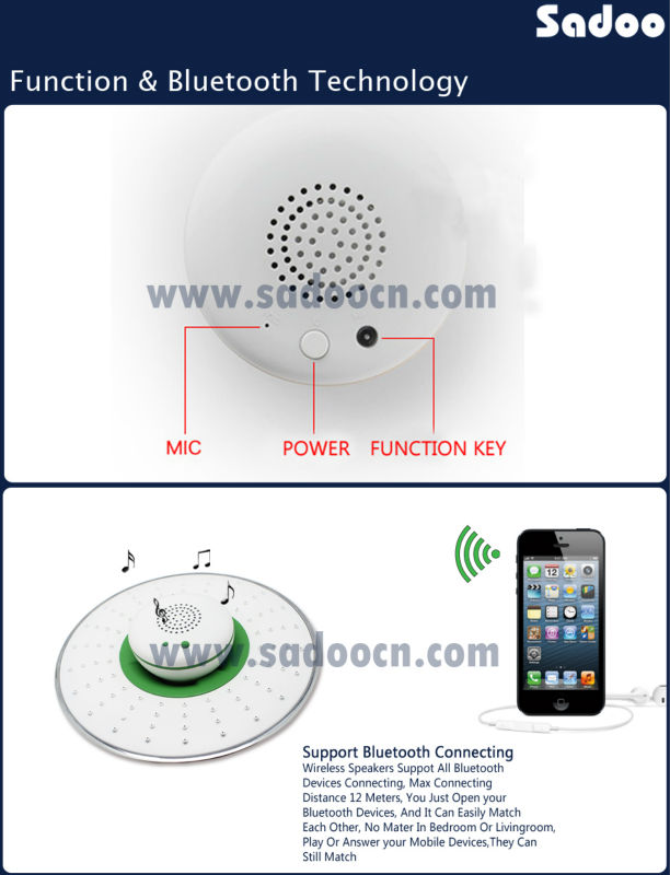 Bluetooth music showerhead SD35101
