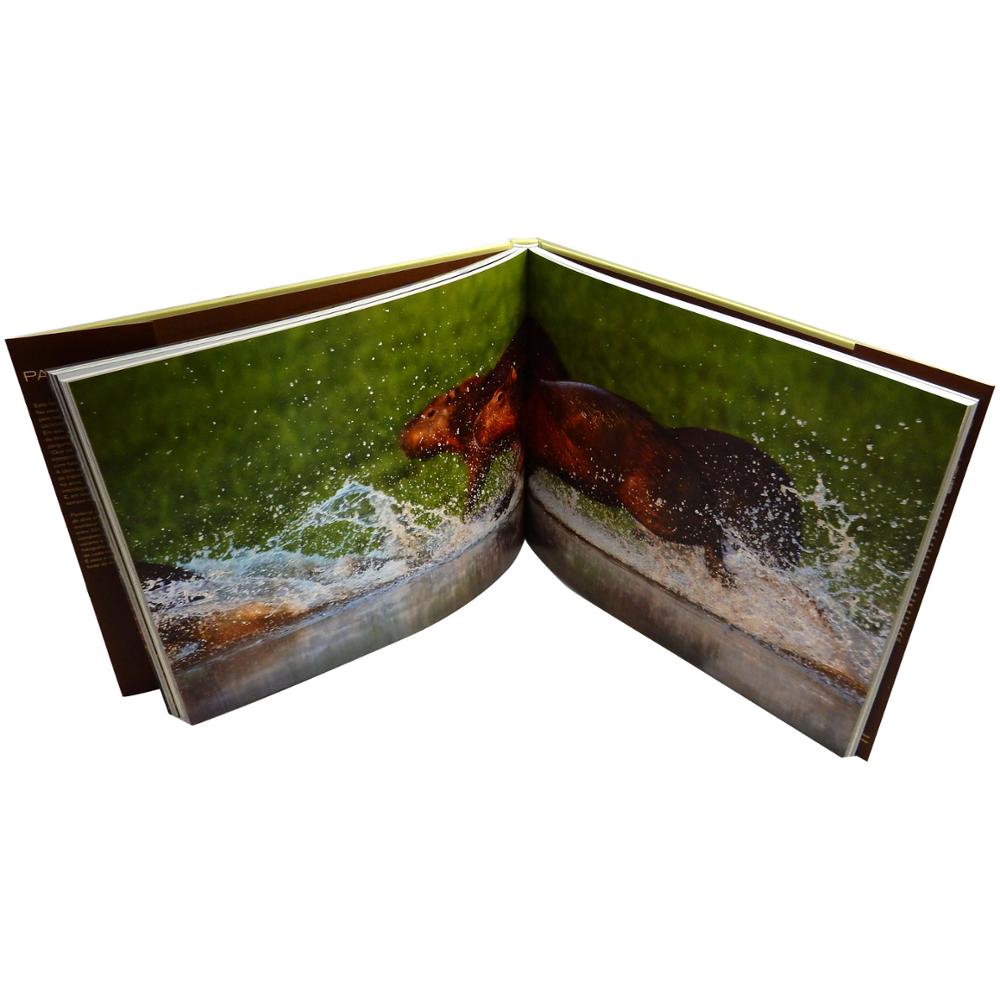 full color customized board book printing on demand