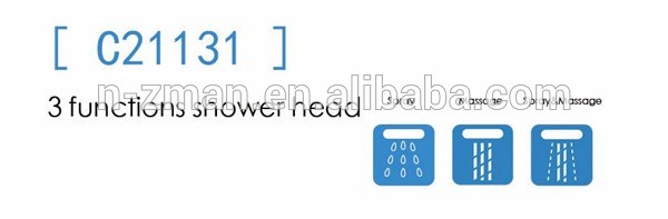 Chrome ABS 3-function Rain Shower Head #C21131