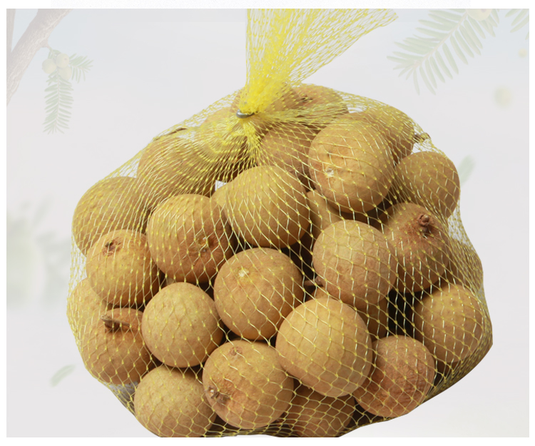 Professional customized packaging mesh bags for longan or other fruit