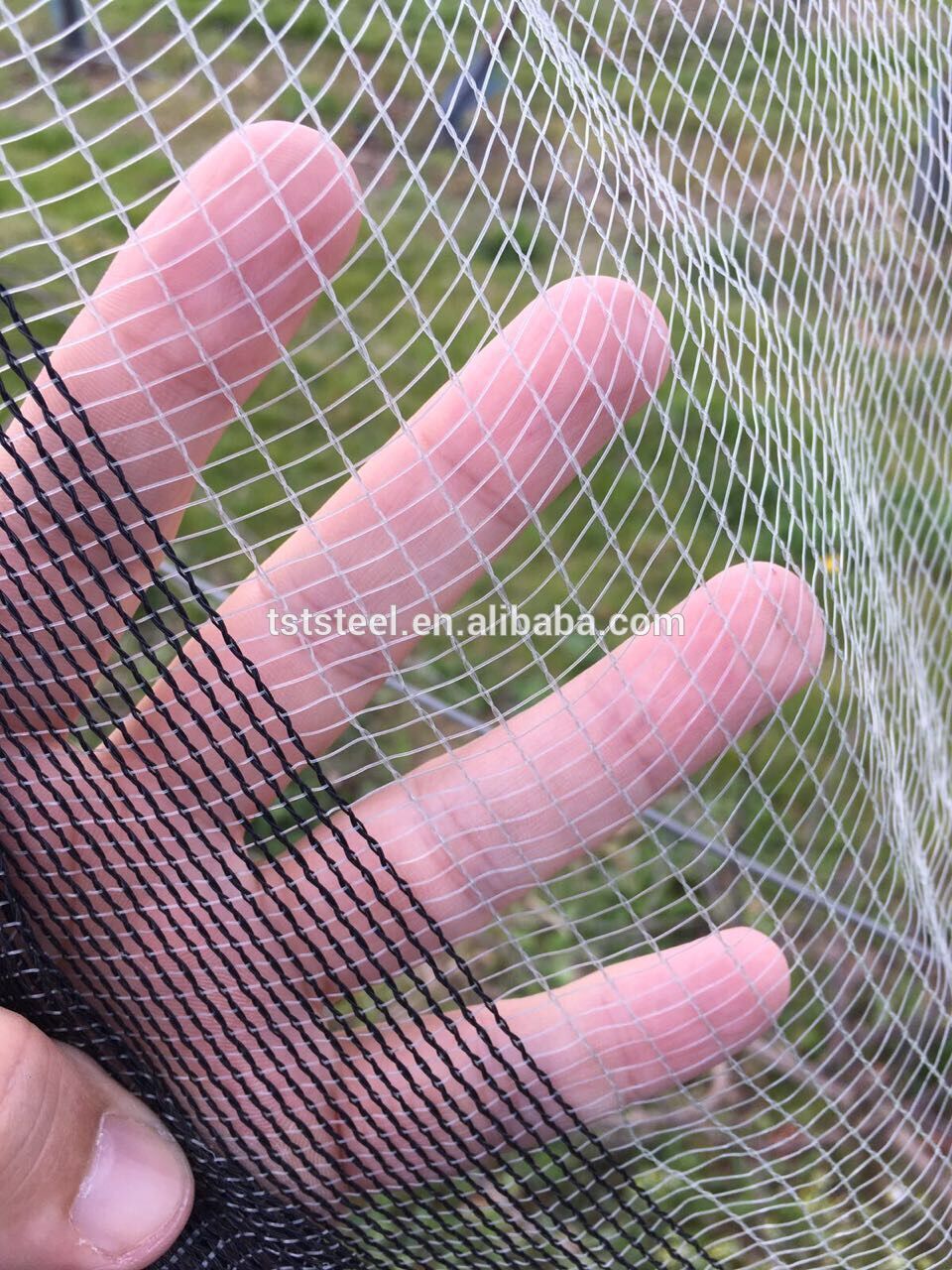 China factory direct hdpe 4mmx5mm anti hail net installation hail net/anti hail net system/anti hail nets for agriculture