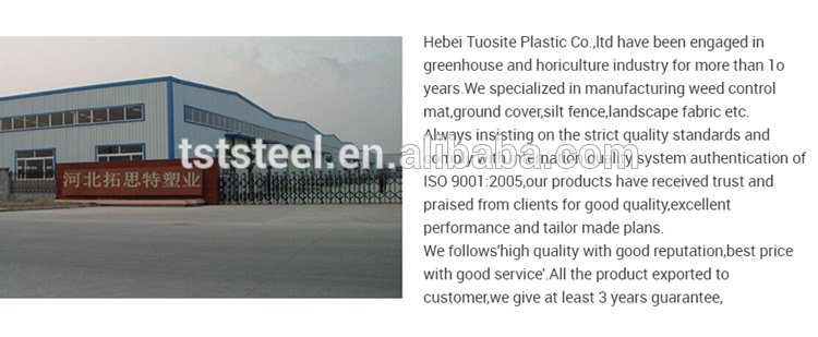 HDPE 55gsm agricultural uv hail guard net/high strength plant and fruit anti hail netting/hail screen net