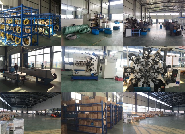 Chinese manufacture metal torsion spring