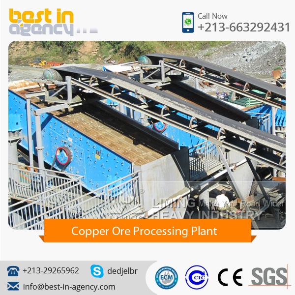 High Quality Mining Mobile Crushing Copper Ore Processing Plant