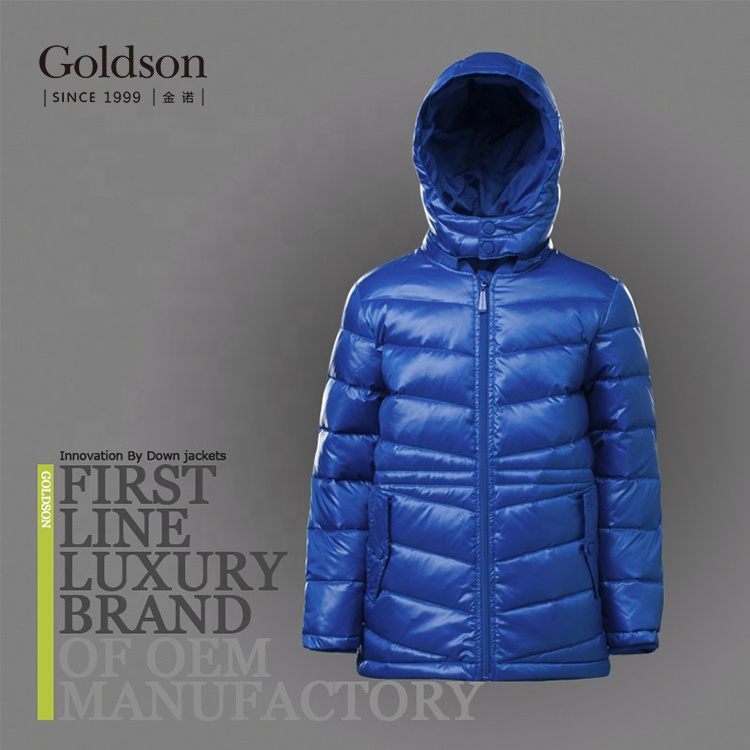 Famous Brand Casual Hooded Puffer Boy Goose Down Jacket For Winter