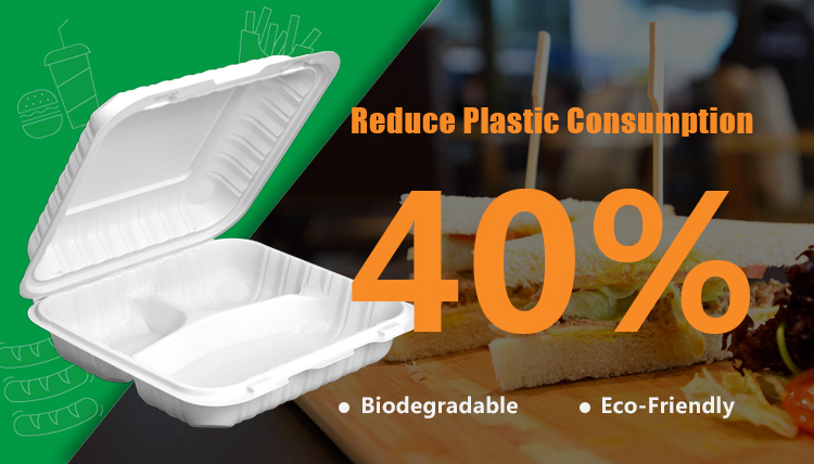 biodegradable disposable hamburger food container packaging