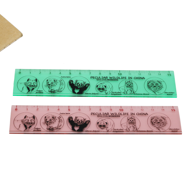 Custom Plastic Short Hard 15CM Ruler School Students Promotional Measuring Ruler Printing LOGO Drawing Straight Ruler