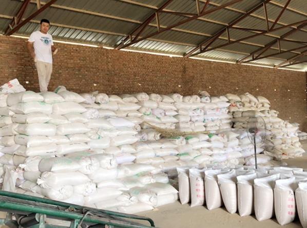 Expanded vermiculite of horticulture cultivation