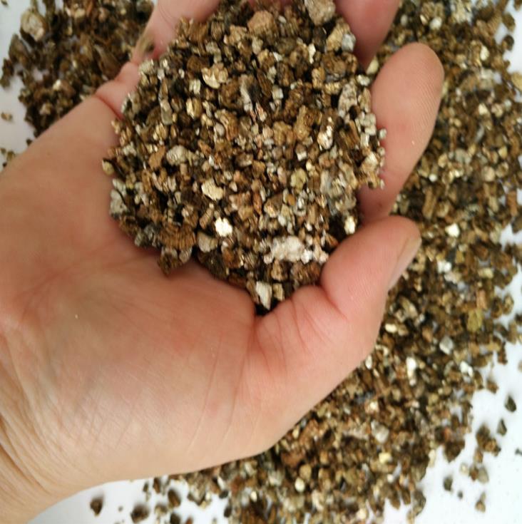 Vermiculite seedling planting