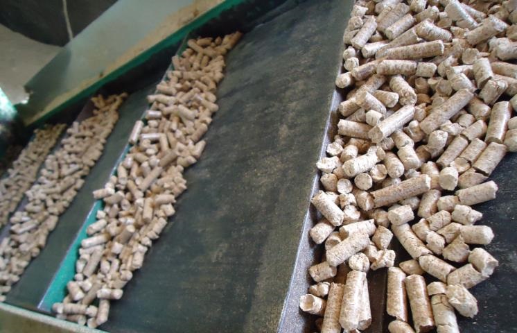 100% Pure EN A + Wood Pellets From Ukraine (6-8mm)