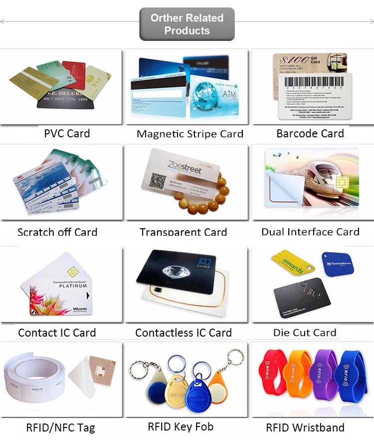 Standard Credit Card Size Special Pantone Color Punched Hole PVC Loyalty Card